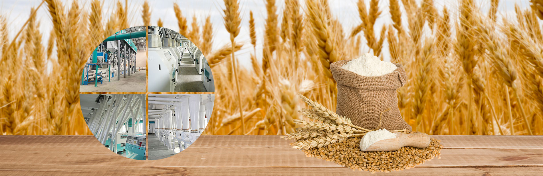 Wheat Milling