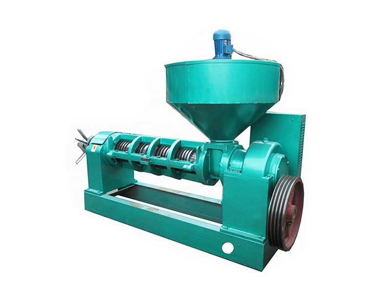 CZA168 spiral oil press