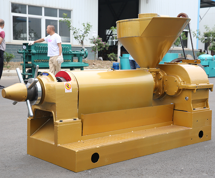 CZA140 spiral oil press 10T/D