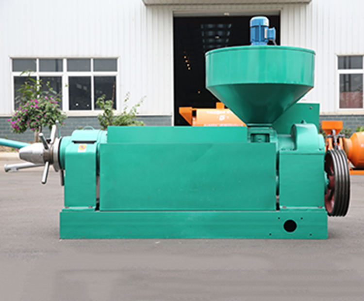 CZA168 spiral oil press