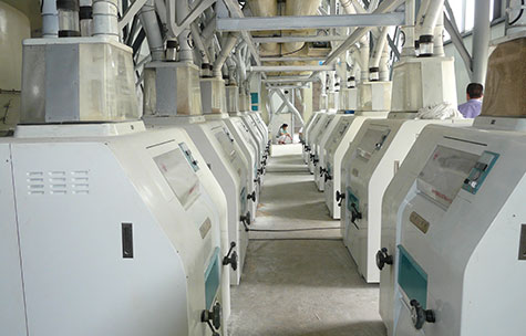 Wheat-Milling-_05