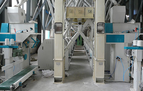 Wheat-Milling-_07