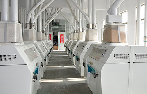 Wheat-Milling-_13