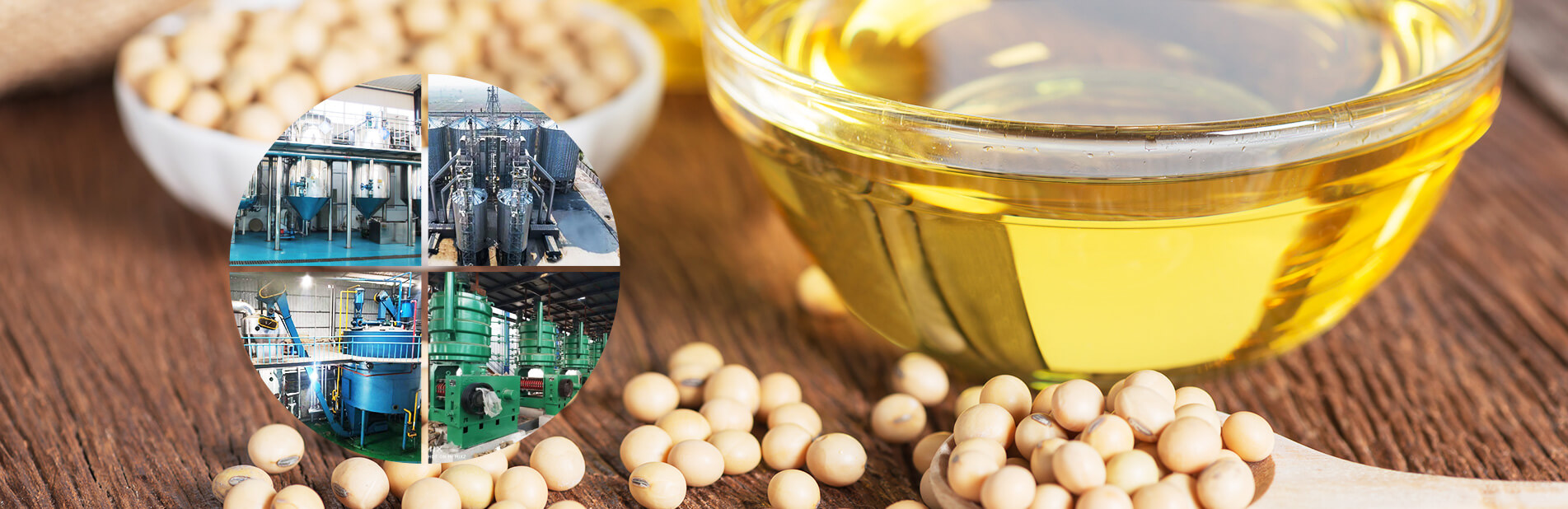 Soybean Oil Production Line