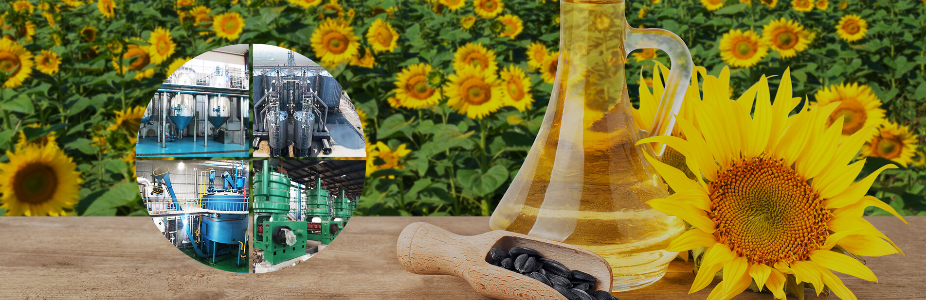 Sunflower Oil Production Line